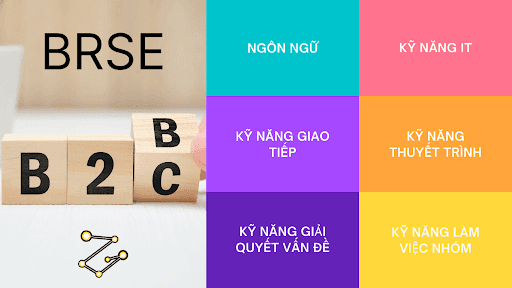 BrSE là gì? Định hướng phát triển nghề nghiệp BrSE